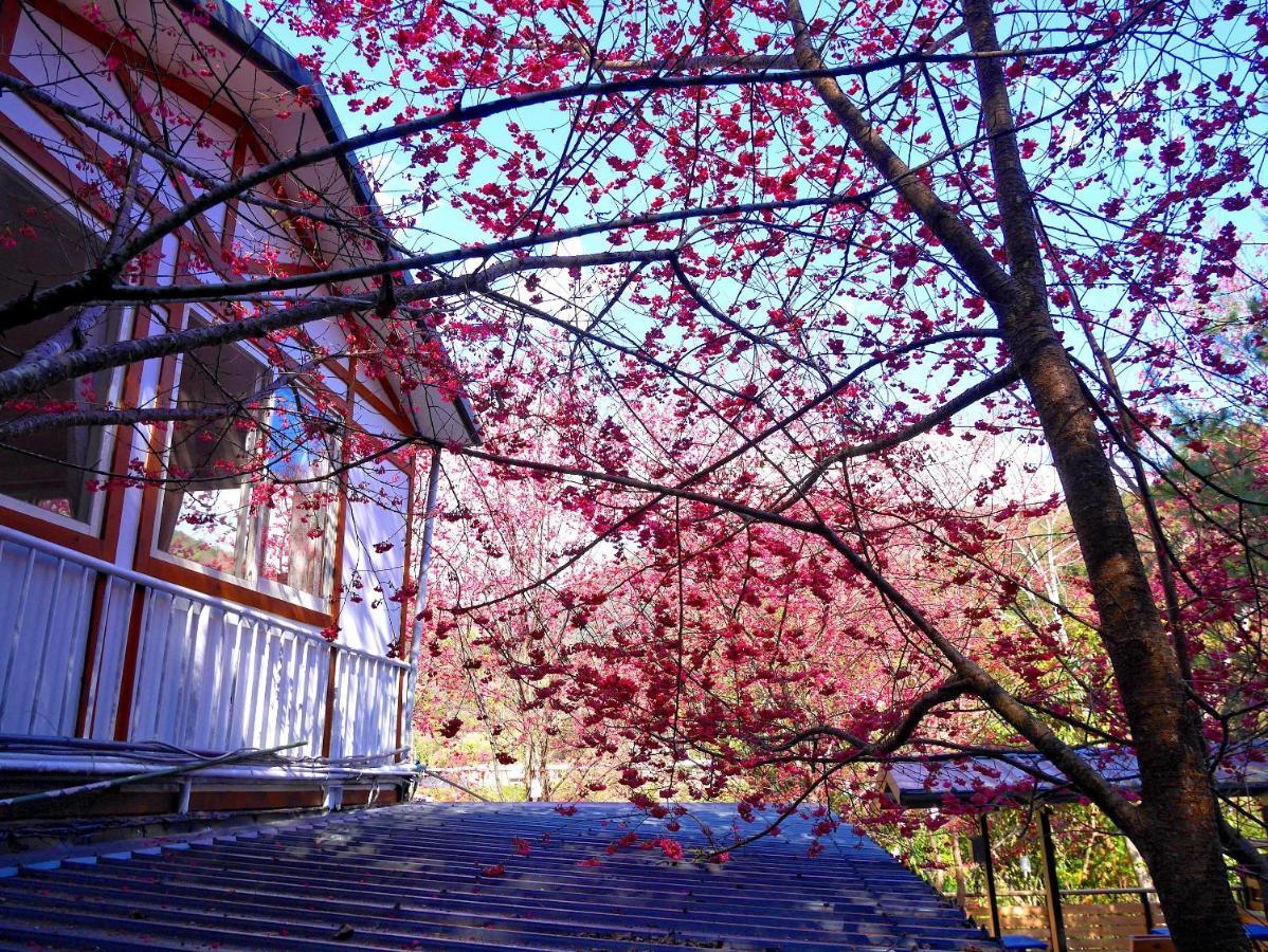 Ferienwohnung 森之秘湯 Mhuwe Hotspring Renai Zimmer foto